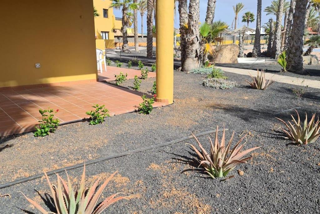 Beautiful Garden Flat Nearly Refurbished Free Wifi Corralejo Exterior foto